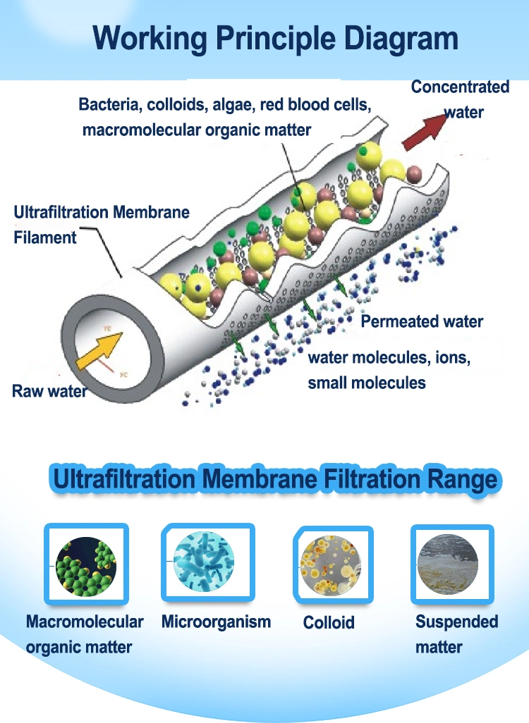 6tph UF Water Treatment Equipment Ultrafiltration System for River Water Well Water Purification